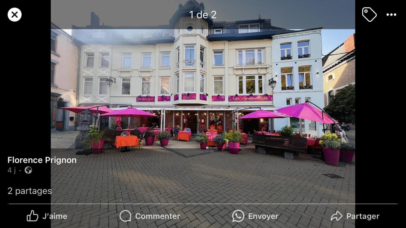 Gite D'Avalon Chambre 7 迪南 外观 照片